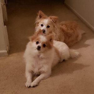 Meet your Posher, Mary jene